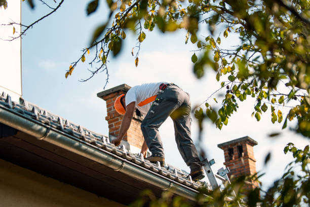 Professional Roofing Contractor in Constantine, MI