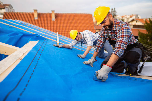 Best Roof Repair Services  in Constantine, MI