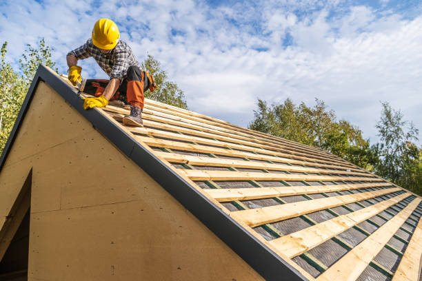 Best Roof Restoration Services  in Constantine, MI