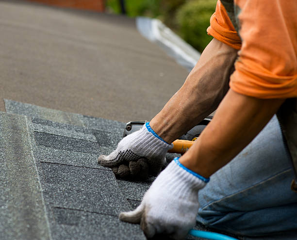 Best Storm Damage Roof Repair  in Constantine, MI