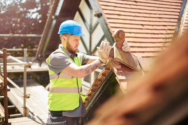 Best Storm Damage Roof Repair  in Constantine, MI