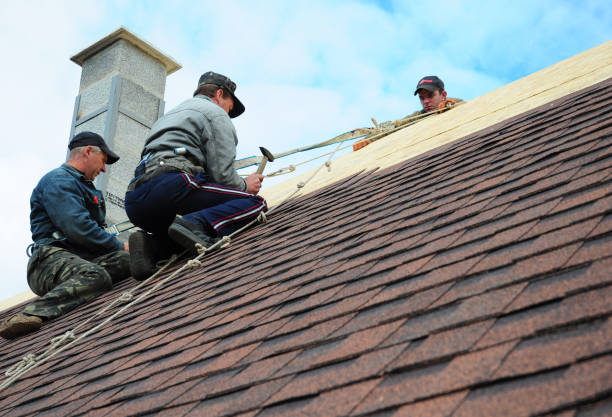 Best Metal Roofing Contractor  in Constantine, MI