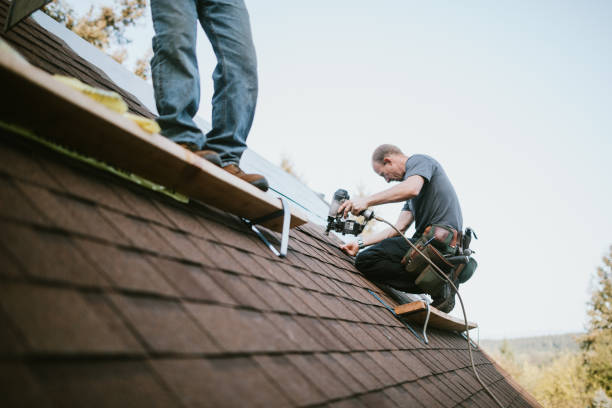 Best Roof Leak Repair  in Constantine, MI